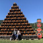 Catoctin Mountain Orchard