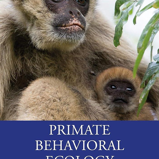 Primate Behavioral Ecology