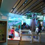 Kohl Children's Museum