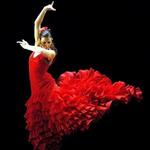 Flamenco Shows