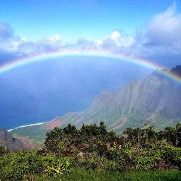 Private Waimea Canyon Tour