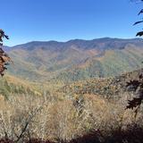 Asheville