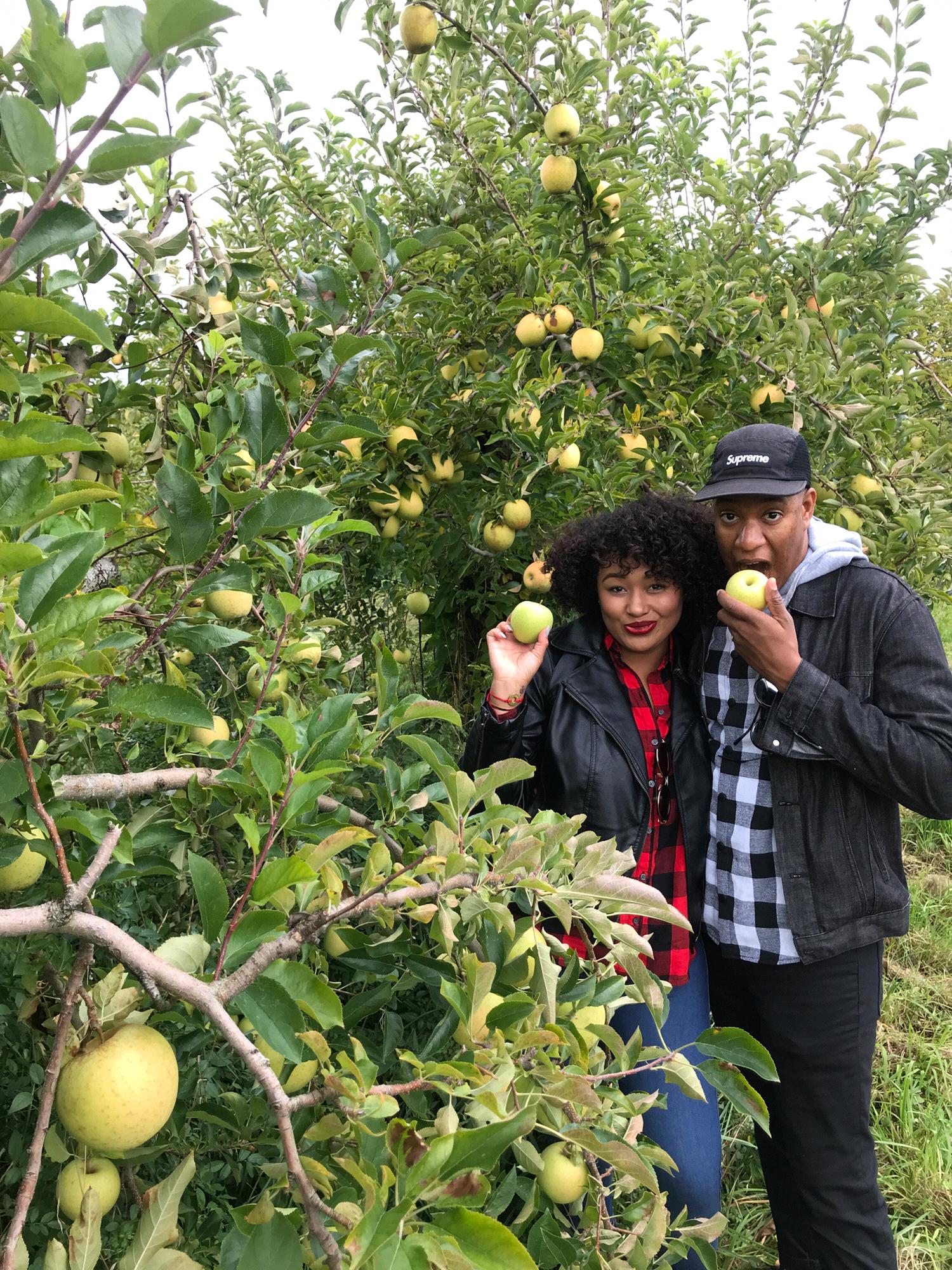 Apple picking