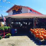 Strawberry Hill USA