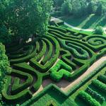 The Morton Arboretum