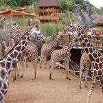 Cheyenne Mountain Zoo