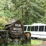Muir Woods National Monument