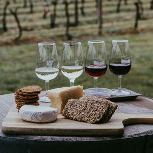 Wine Tasting for 2 in Tuscany