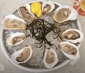 Shuck Station Raw Bar