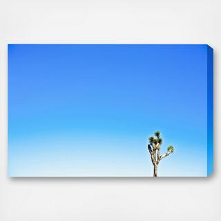 Cassandra Eldridge - Joshua Tree Canvas Art