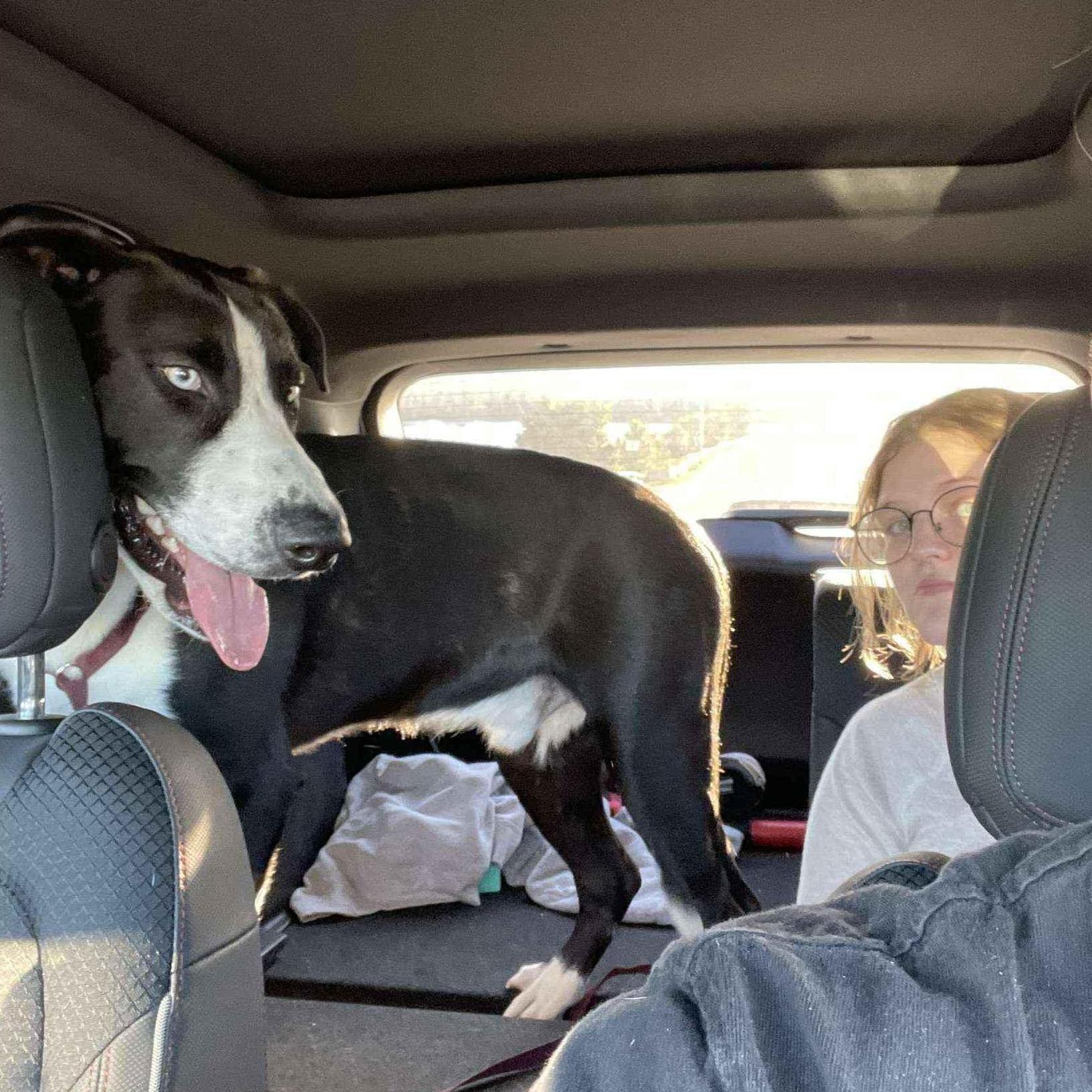 On the way home