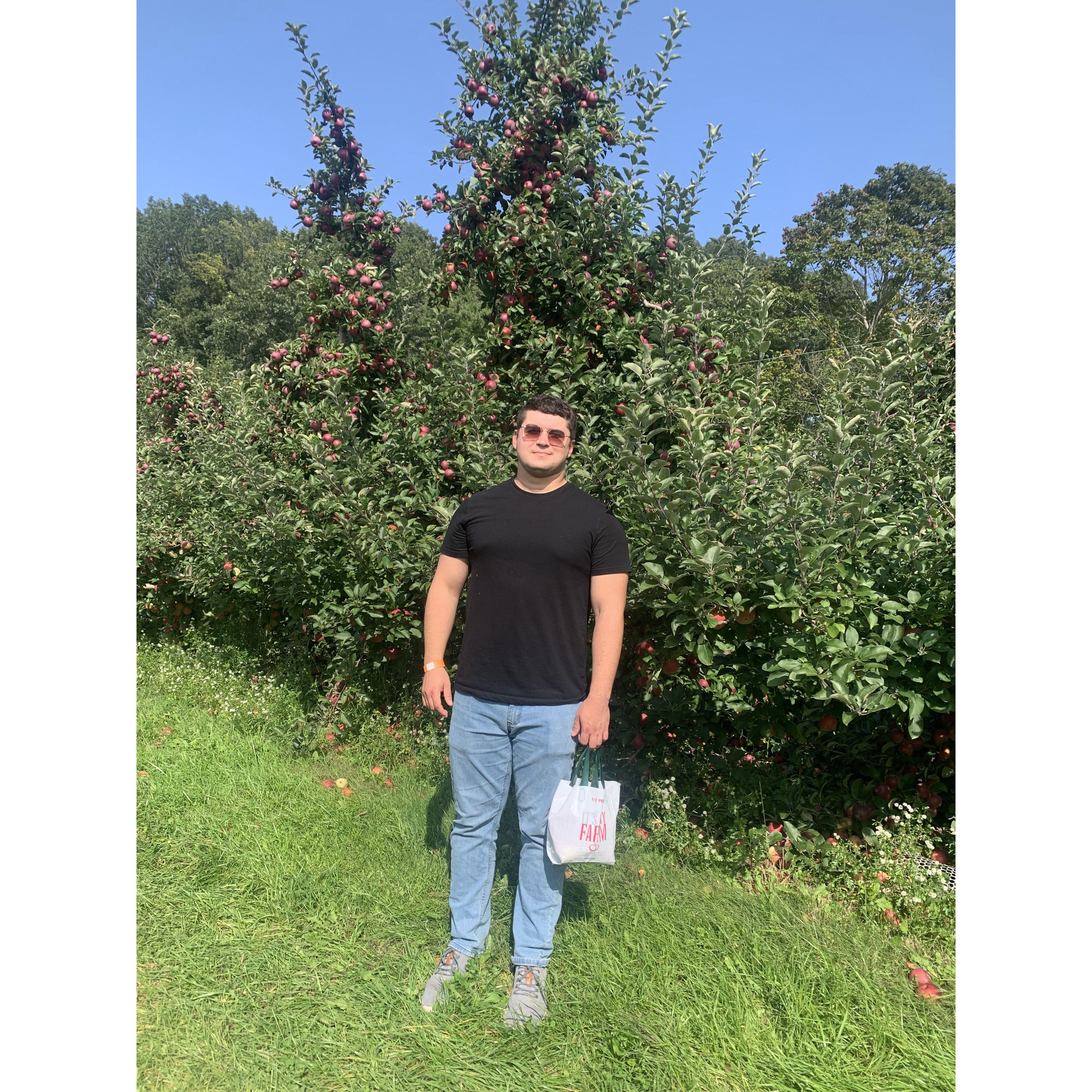 Lovely 90 degree day for apple-picking at Cider Hill Farm