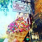 Yogurt Pump