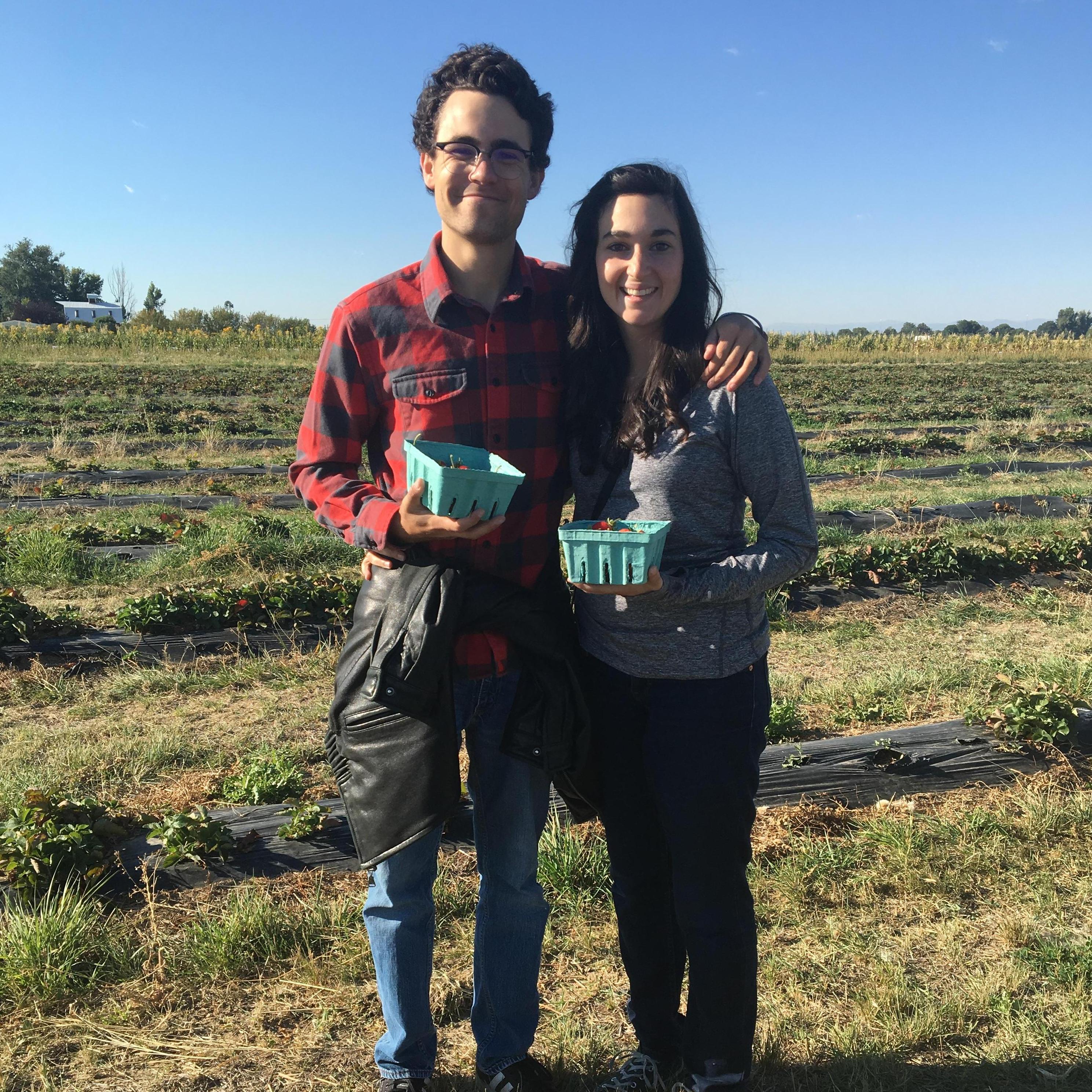 The Berry Patch in Denver