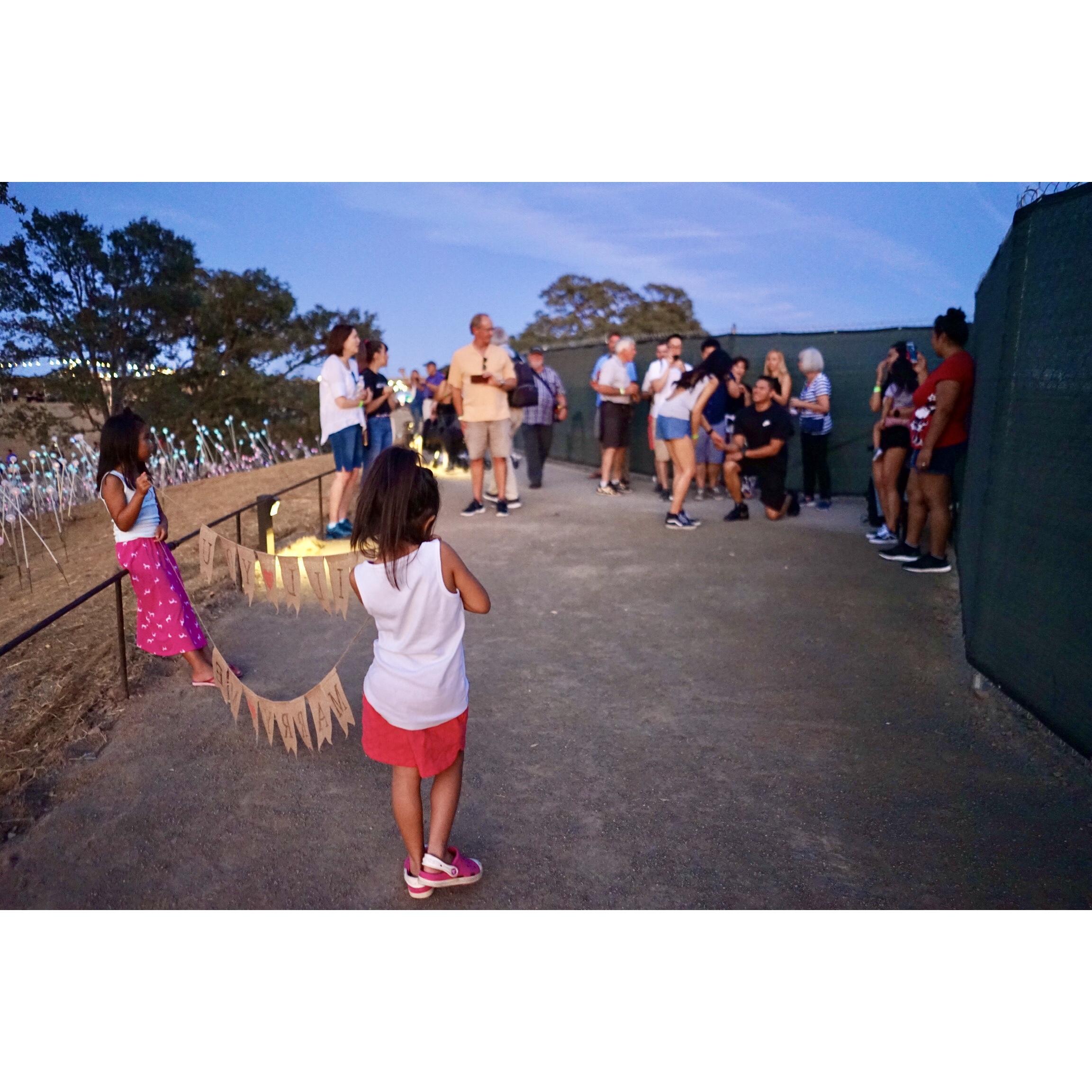 The Proposal (Sensorio: Field of Lights by Bruce Munro - Paso Robles, CA)