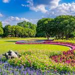 The Dallas Arboretum and Botanical Garden