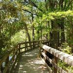 Fair Bluff River Walk