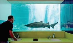 OdySea Aquarium
