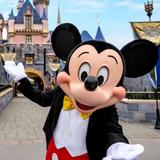 Disneyland Park