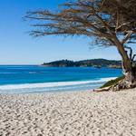 Carmel Beach