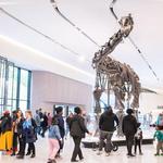 Cleveland Museum of Natural History