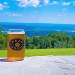Bear Chase Brewing Company