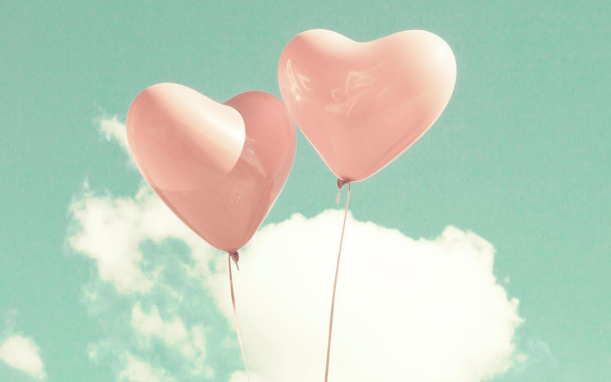 The Wedding Website of Megan Patton and T.J. Gross