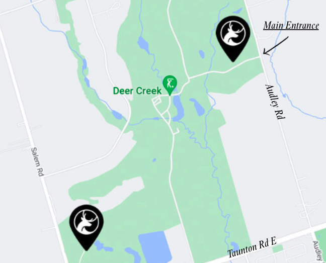 The Wedding Website of Alessia DiMatteo and Michael Notte