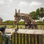 Oklahoma City Zoo