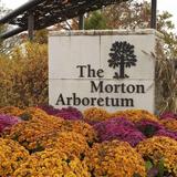 The Morton Arboretum