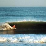 Surf