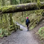 Hiking trails