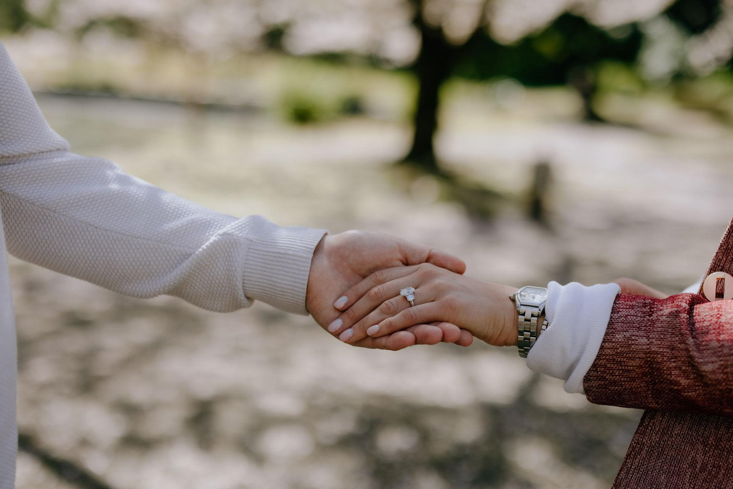 The Wedding Website of Hannah Garelick and Matt Koch
