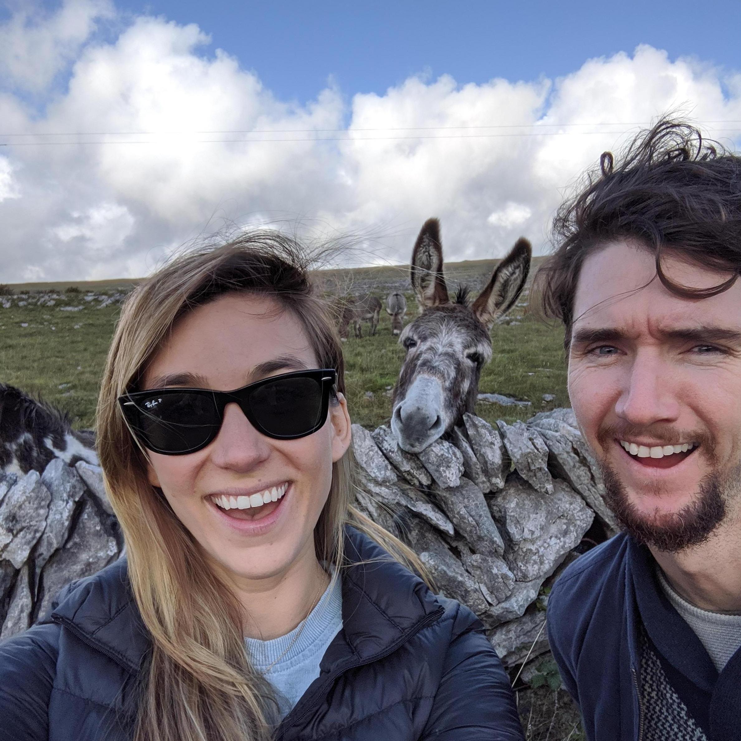 A donkey making an ass out of us!