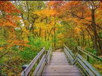 Starved Rock State Park