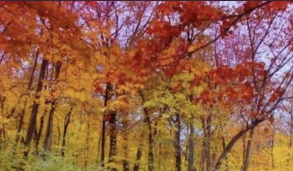 e034dd69-5e16-45d1-8d43-af25dd90f156