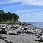 Off Leash Area Edmonds