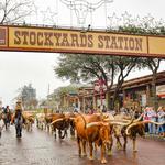 Fort Worth Stockyards