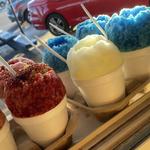 Sno-Ball 1