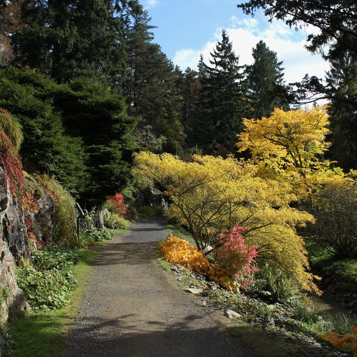 Photos of the park where our wedding will be.