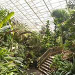 Foellinger-Freimann Botanical Conservatory