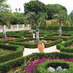 Bermuda Botanical Gardens