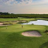 Golf The Bear