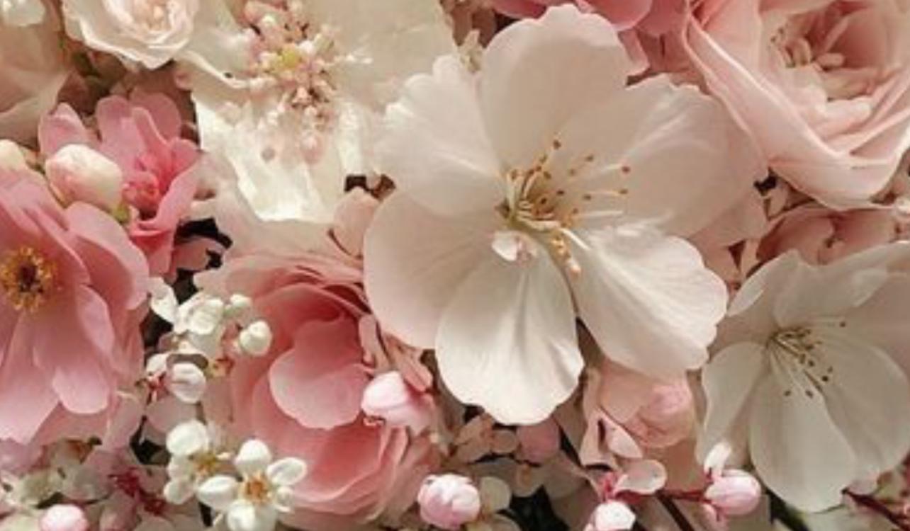 The Wedding Website of Joua Yang and Pao Vang