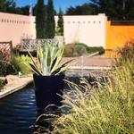 Denver Botanic Gardens