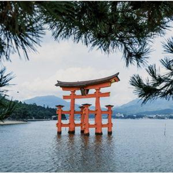 Our Honeymoon in Japan