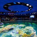 New England Aquarium