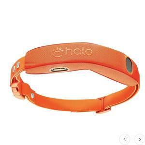 Halo Collar 5 GPS Dog Fence: Color Orange