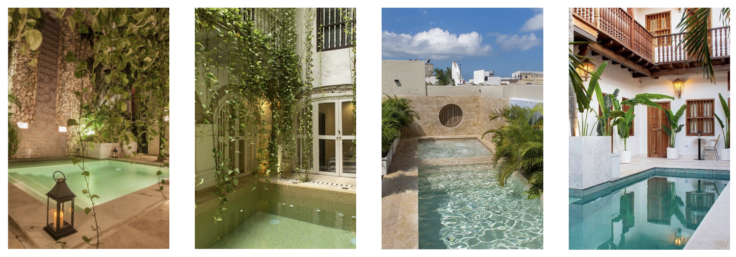 The Wedding Website of Sunny Rosen and Francisco Moreno