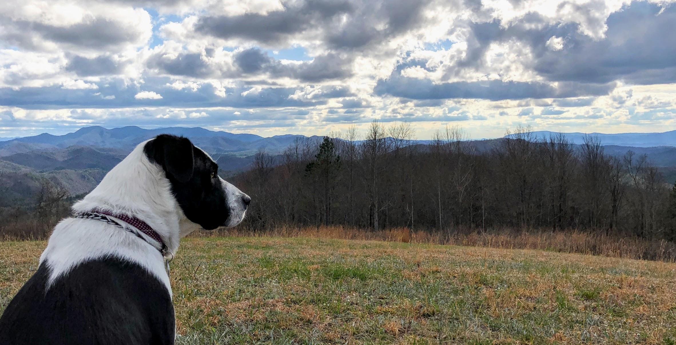 e04b7b68-d2ef-4793-b34d-b867e4a44f48